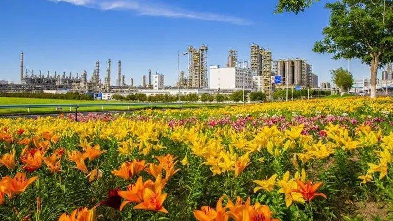 广东高分子材料厂家资质要求解析：合规之路，品质保障**