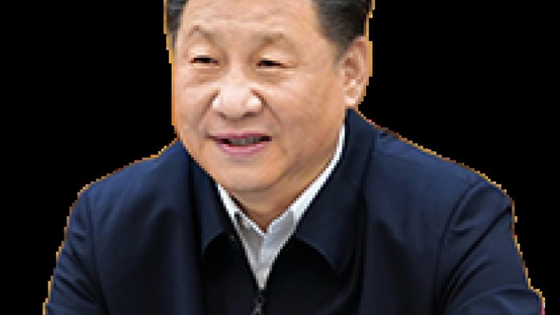 深圳无机化工原料采购：价格之外的关键考量**